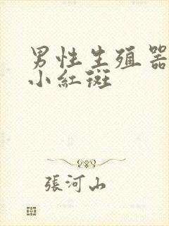 男性生殖器上长小红斑