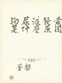 狗尿液发黄很稠是什么原因封面