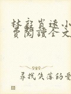 林毅肖远小说免费阅读全文最新章节