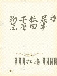 狗子拉尿带血是怎么回事