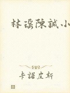 林瑶陈诚小说封面