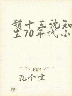 赵十三沈知霜重生70年代小说封面