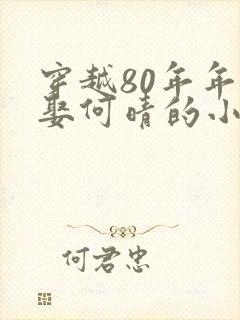 穿越80年年代娶何晴的小说