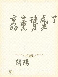 重生后成了权臣的黑月光封面