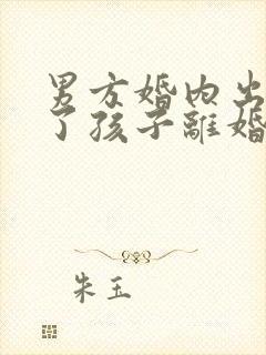 男方婚内出轨有了孩子离婚怎么处理封面