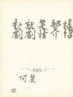 对就是那样电视剧剧情介绍封面