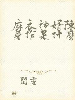 麻衣神婿陈黄皮身份是什么