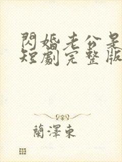 闪婚老公是总裁短剧完整版免费看