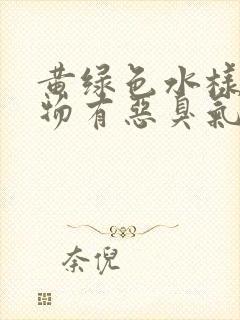 黄绿色水样分泌物有恶臭气味