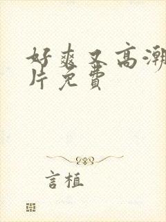 好爽又高潮了毛片免费