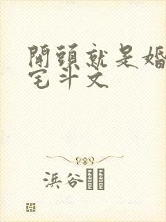 开头就是婚后的宅斗文