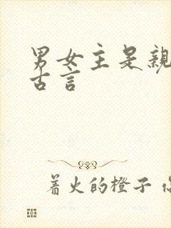 男女主是亲兄妹古言封面