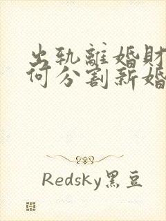 出轨离婚财产如何分割新婚姻法2025封面