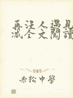 再没人遇见无删减全文阅读