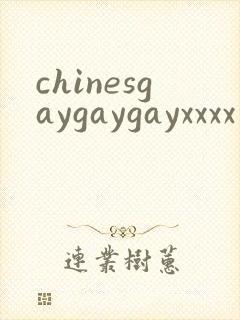chinesgaygaygayxxxx封面