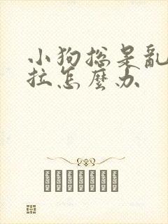 小狗总是乱尿乱拉怎么办