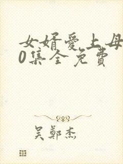 女婿爱上母娘40集全免费封面