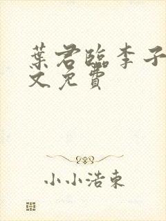 叶君临李子染全文免费