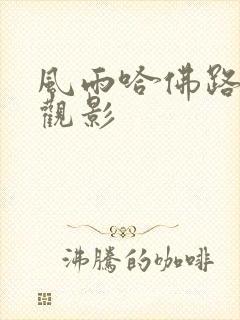 风雨哈佛路免费观影