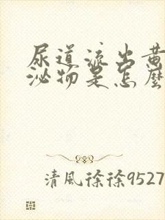 尿道流出黄色分泌物是怎么回事