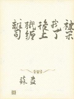 离职后我被前上司缠上了宋襄