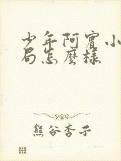 少年阿宾小说结局怎么样封面