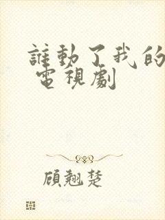 谁动了我的爱情 电视剧