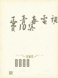 正青春电视剧免费10集