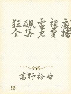 狂飙电视剧剧情全集免费播放