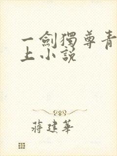 一剑独尊青鸾峰上小说