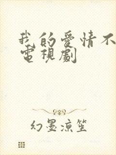 我的爱情不平凡电视剧