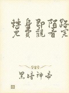 转身即陌路短剧免费观看完整版