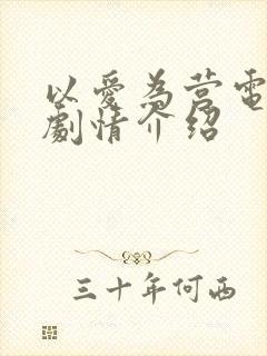 以爱为营电视剧剧情介绍封面