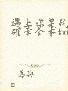 遇上你是我的小确幸全本txt下载