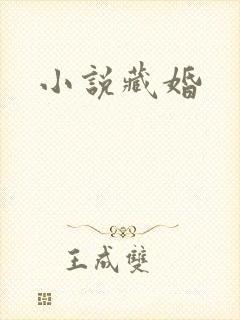 小说藏婚