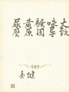 尿黄骚味大是什么原因导致的