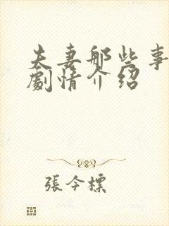 夫妻那些事分集剧情介绍封面