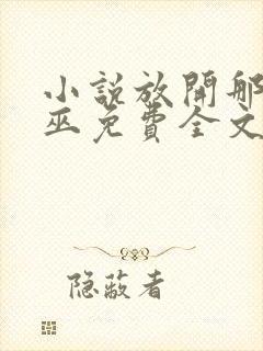 小说放开那个女巫免费全文阅读下载