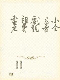 电视剧《小舅》免费观看全集高清封面