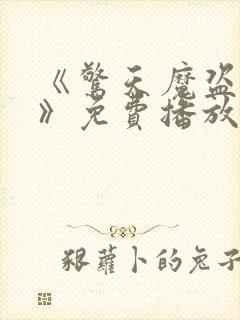 《惊天魔盗团三》免费播放