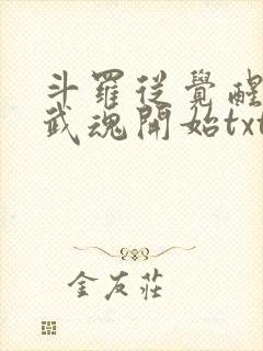 斗罗从觉醒朱雀武魂开始txt下载