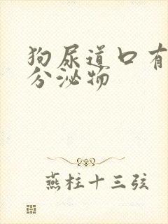 狗尿道口有黄色分泌物封面