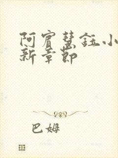 阿宾慧钰小说最新章节