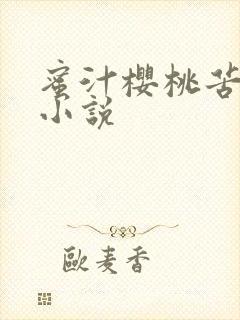 蜜汁樱桃苦咖啡小说