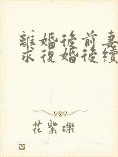 离婚后前妻哭着求复婚后续