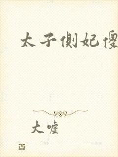 太子侧妃傻乎乎