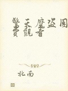 惊天魔盗团4免费观看封面