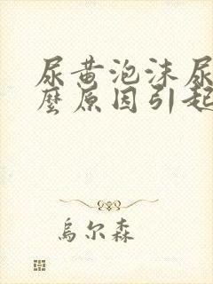 尿黄泡沫尿是什么原因引起的