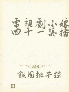 电视剧小娘惹第四十一集播放封面