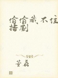 偷偷藏不住.广播剧